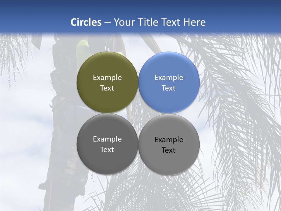 A Man In A Tree Trimming A Palm Tree PowerPoint Template