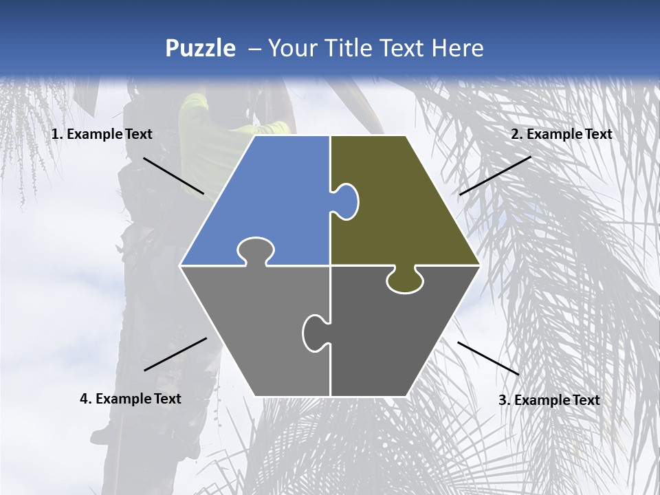 A Man In A Tree Trimming A Palm Tree PowerPoint Template