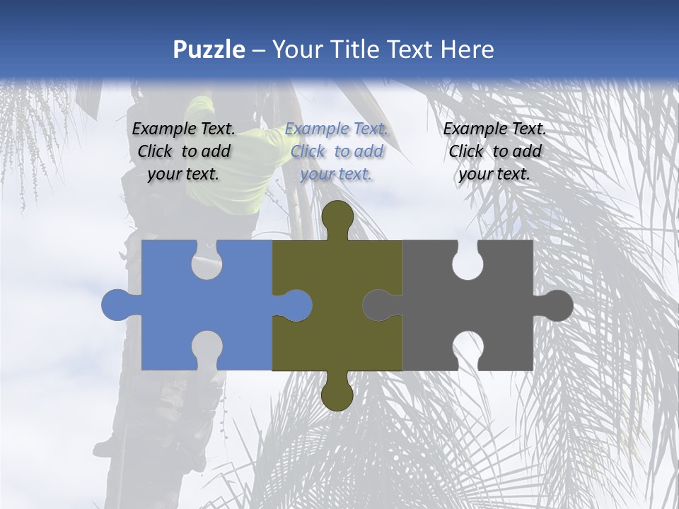 A Man In A Tree Trimming A Palm Tree PowerPoint Template