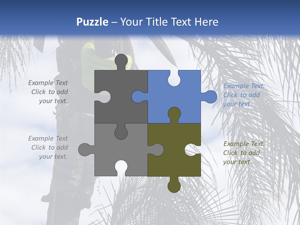 A Man In A Tree Trimming A Palm Tree PowerPoint Template