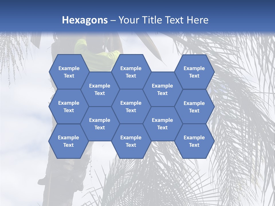 A Man In A Tree Trimming A Palm Tree PowerPoint Template