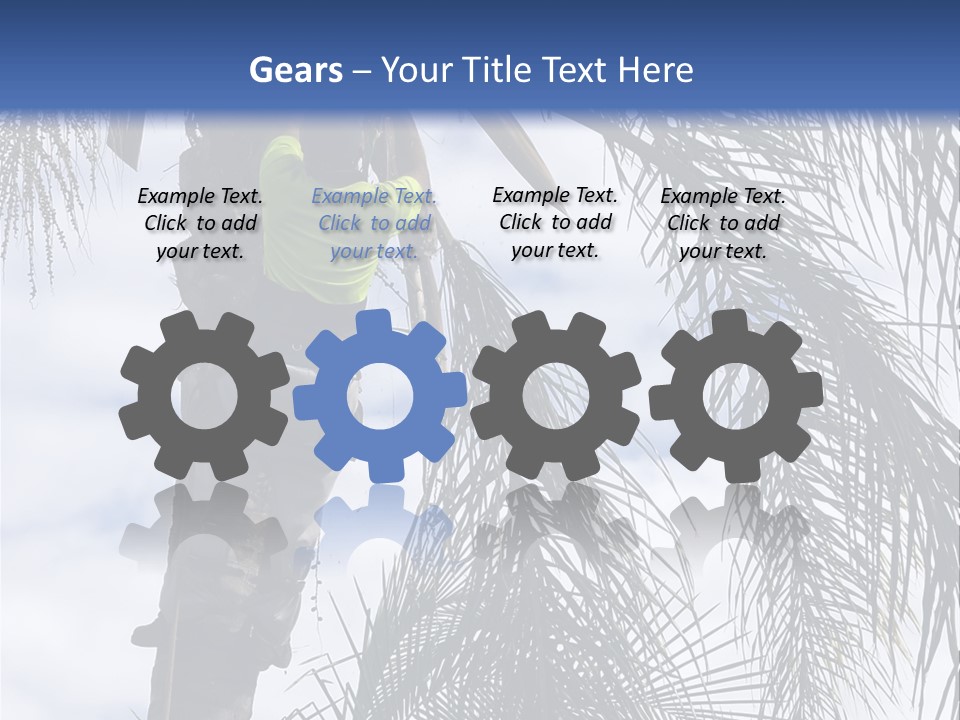 A Man In A Tree Trimming A Palm Tree PowerPoint Template