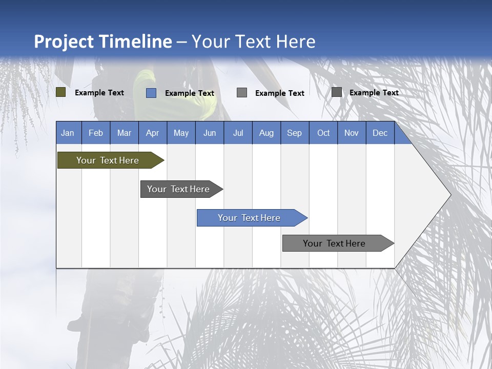 A Man In A Tree Trimming A Palm Tree PowerPoint Template