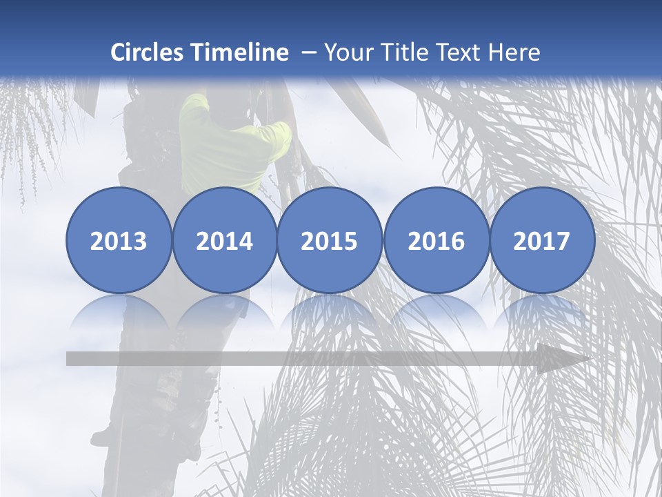 A Man In A Tree Trimming A Palm Tree PowerPoint Template