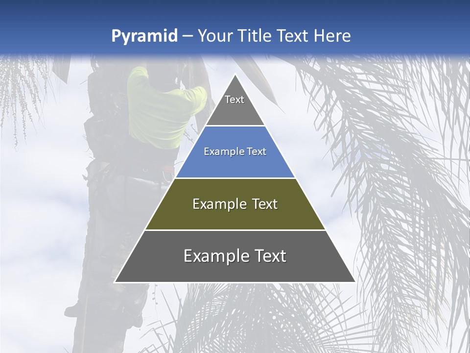 A Man In A Tree Trimming A Palm Tree PowerPoint Template