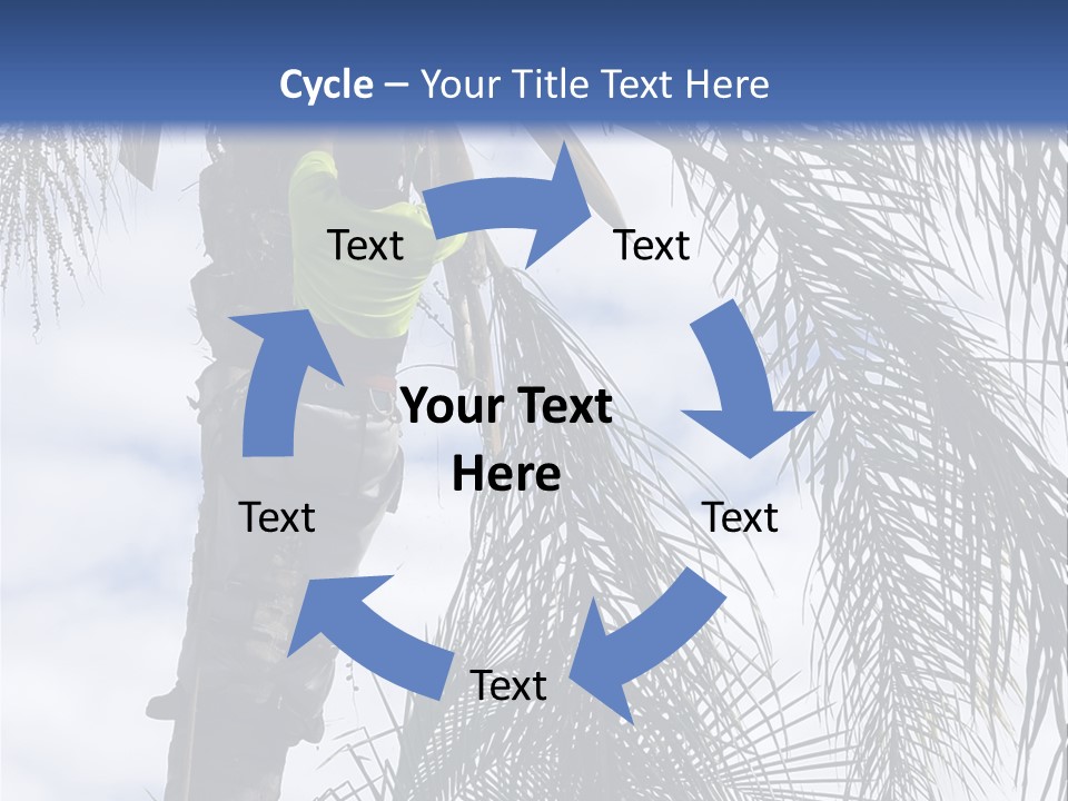 A Man In A Tree Trimming A Palm Tree PowerPoint Template