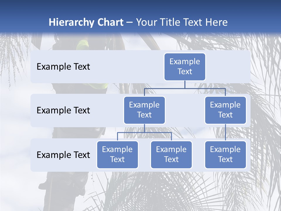 A Man In A Tree Trimming A Palm Tree PowerPoint Template