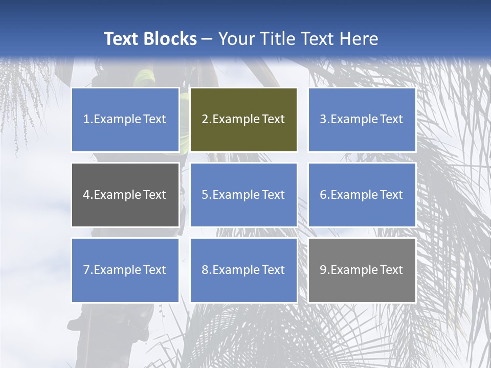 A Man In A Tree Trimming A Palm Tree PowerPoint Template