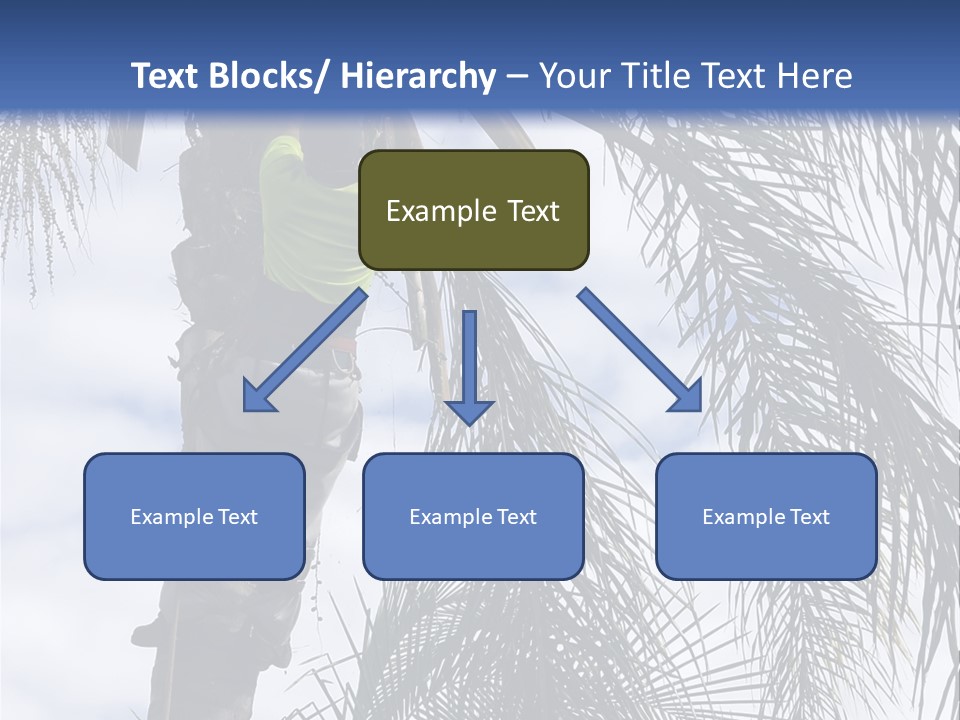 A Man In A Tree Trimming A Palm Tree PowerPoint Template