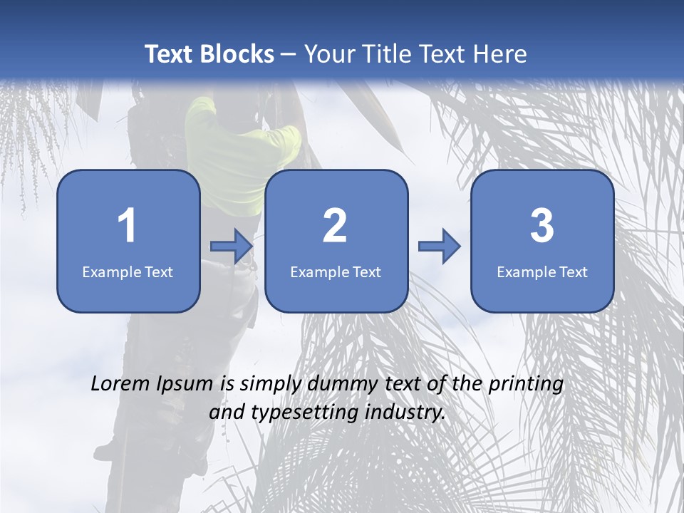 A Man In A Tree Trimming A Palm Tree PowerPoint Template