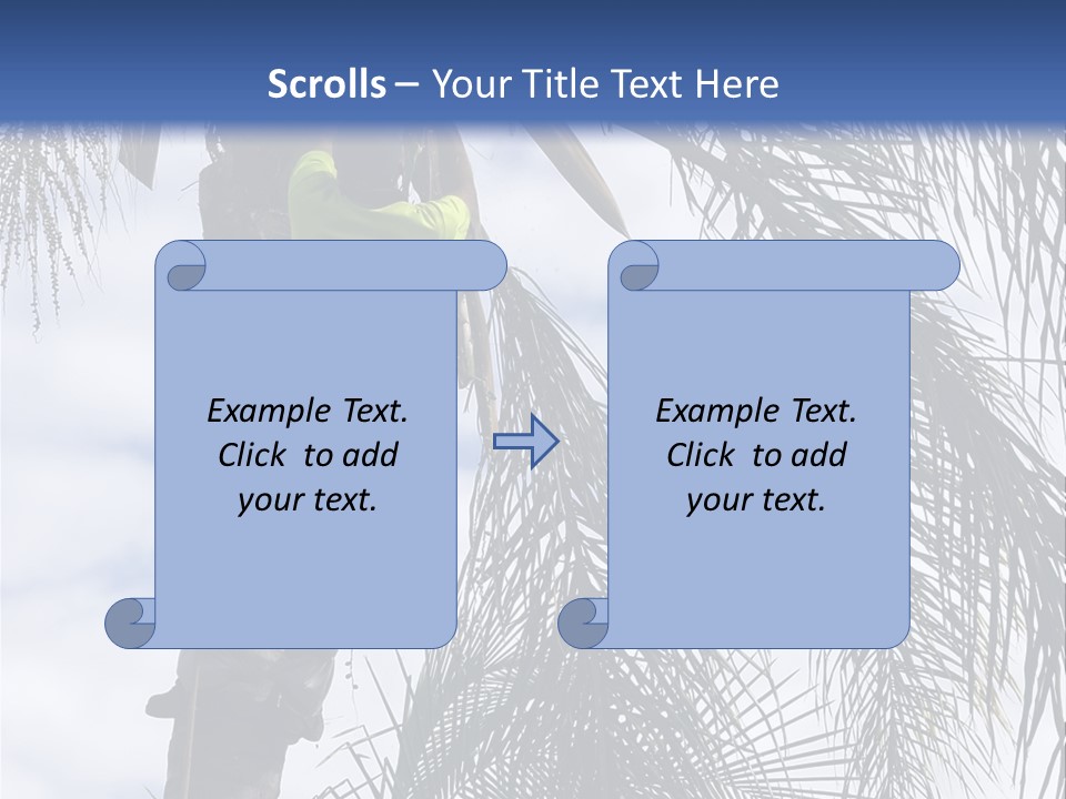 A Man In A Tree Trimming A Palm Tree PowerPoint Template