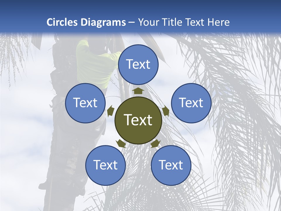 A Man In A Tree Trimming A Palm Tree PowerPoint Template