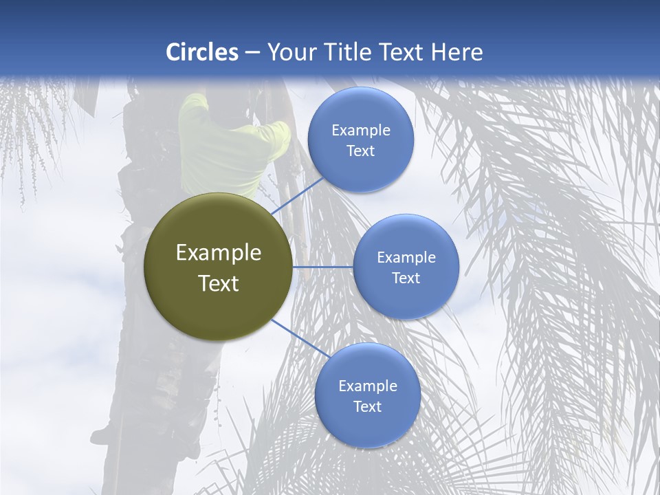 A Man In A Tree Trimming A Palm Tree PowerPoint Template