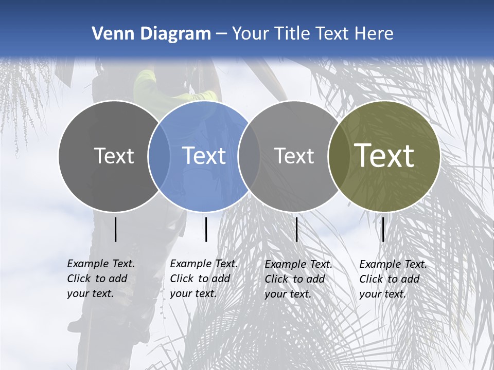A Man In A Tree Trimming A Palm Tree PowerPoint Template