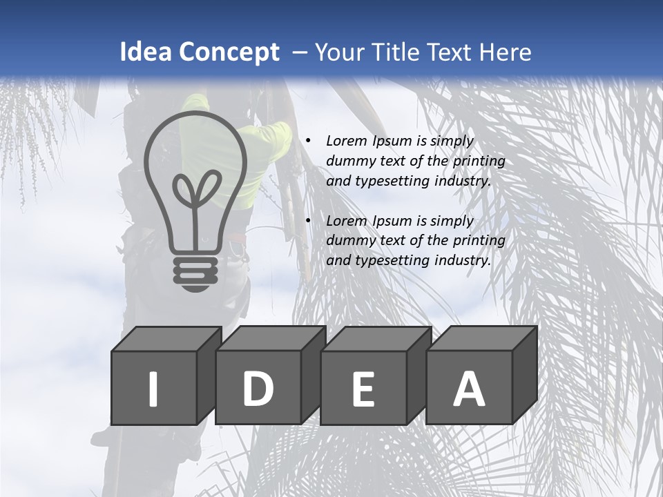 A Man In A Tree Trimming A Palm Tree PowerPoint Template