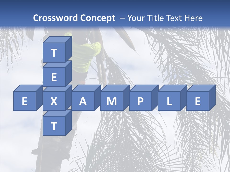 A Man In A Tree Trimming A Palm Tree PowerPoint Template