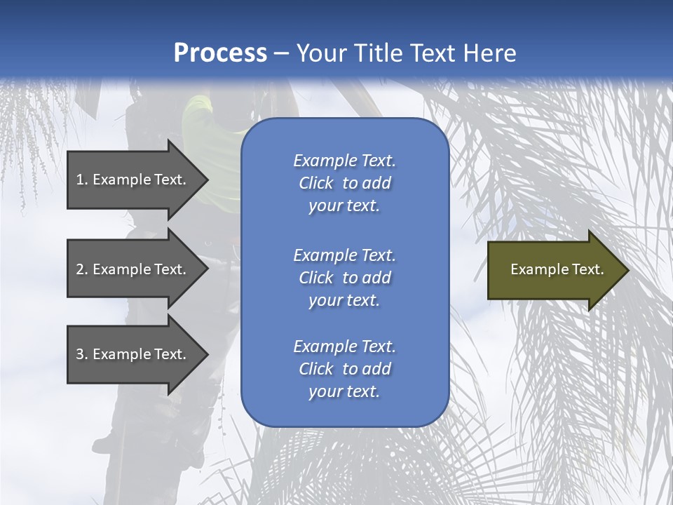 A Man In A Tree Trimming A Palm Tree PowerPoint Template