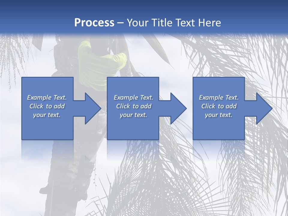 A Man In A Tree Trimming A Palm Tree PowerPoint Template