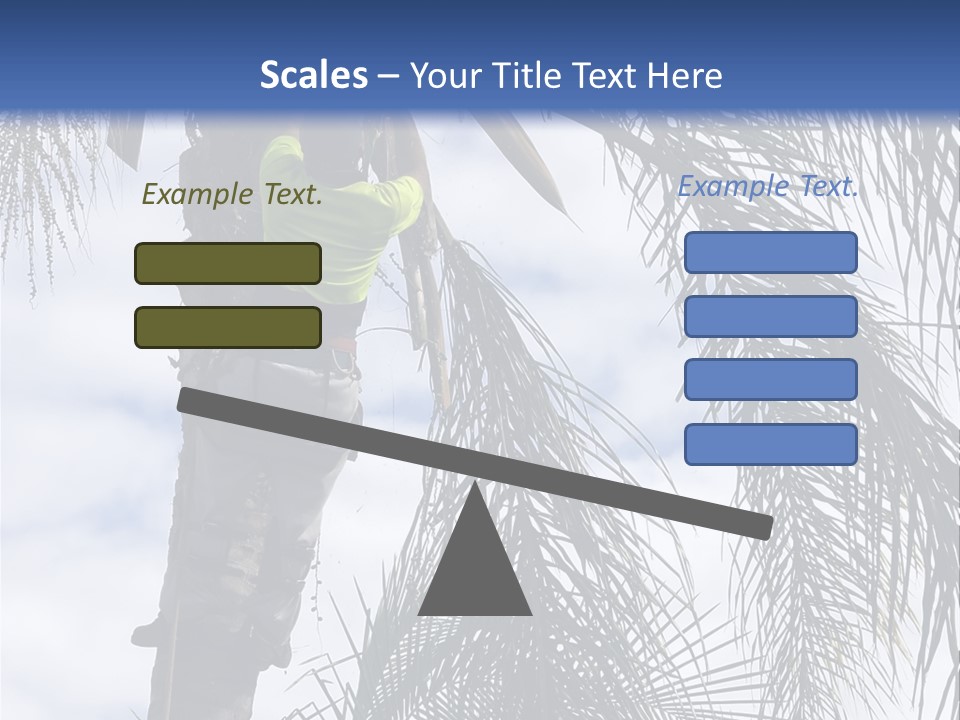 A Man In A Tree Trimming A Palm Tree PowerPoint Template