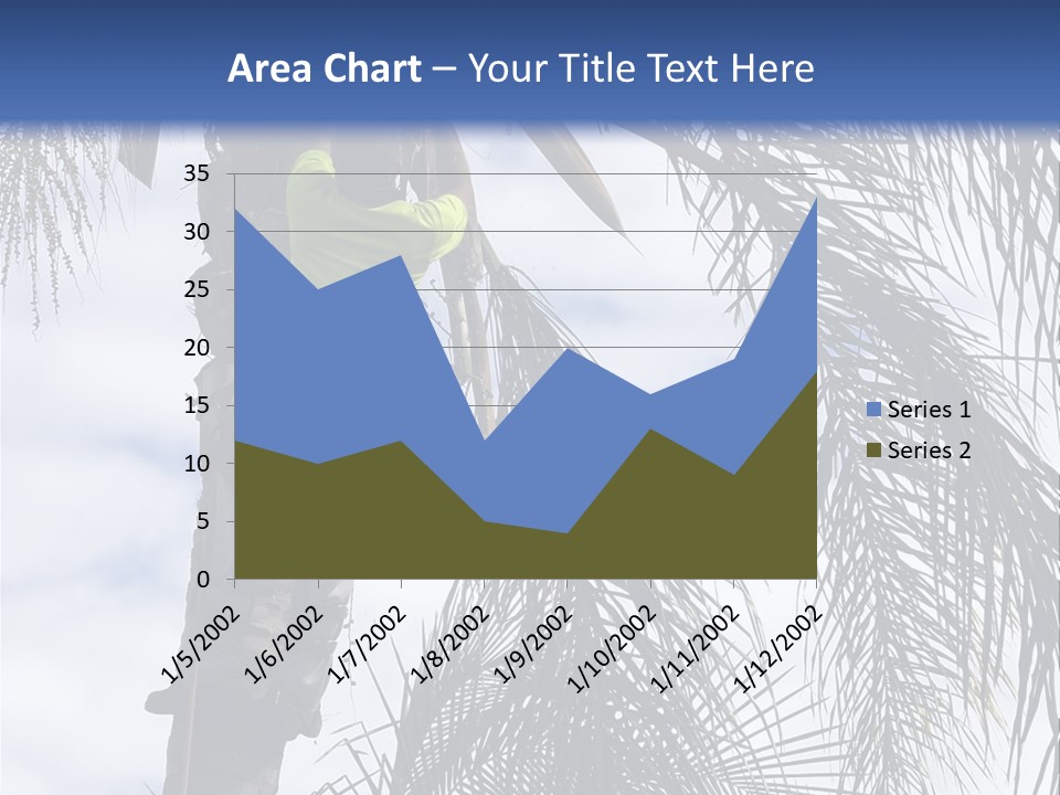 A Man In A Tree Trimming A Palm Tree PowerPoint Template