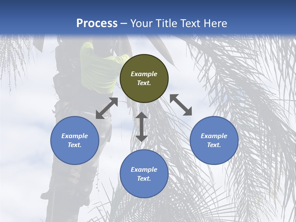 A Man In A Tree Trimming A Palm Tree PowerPoint Template