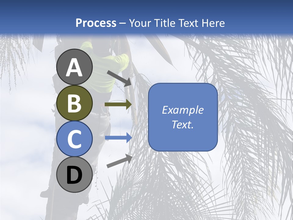 A Man In A Tree Trimming A Palm Tree PowerPoint Template