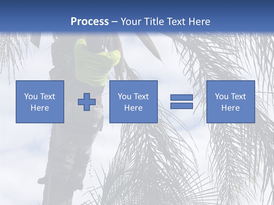 A Man In A Tree Trimming A Palm Tree PowerPoint Template