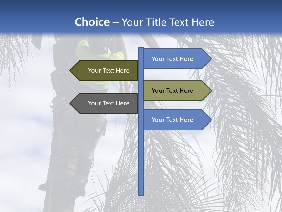 A Man In A Tree Trimming A Palm Tree PowerPoint Template