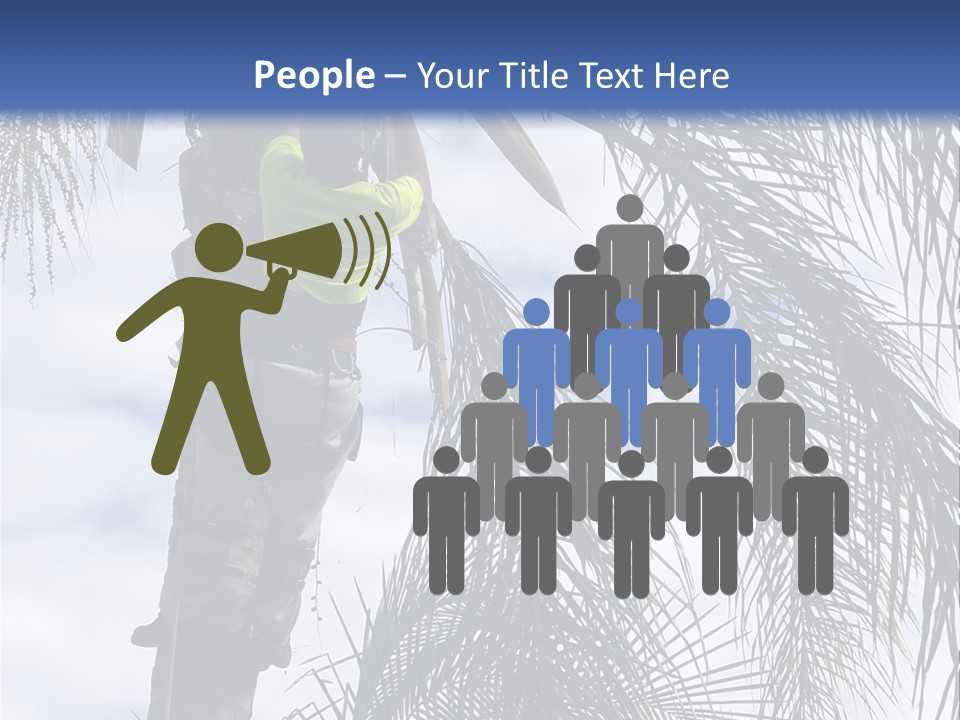 A Man In A Tree Trimming A Palm Tree PowerPoint Template