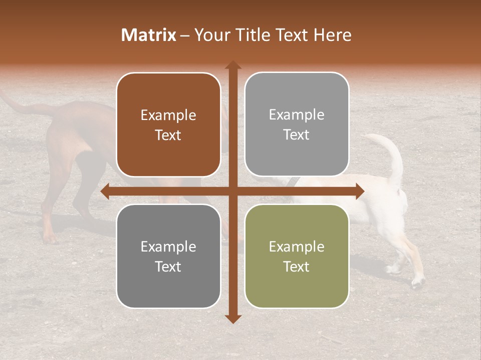 Puppy And Dog Playing PowerPoint Template