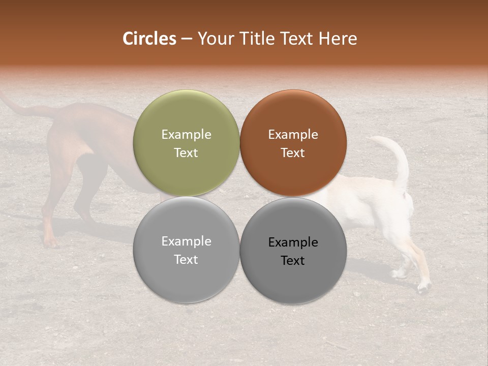 Puppy And Dog Playing PowerPoint Template