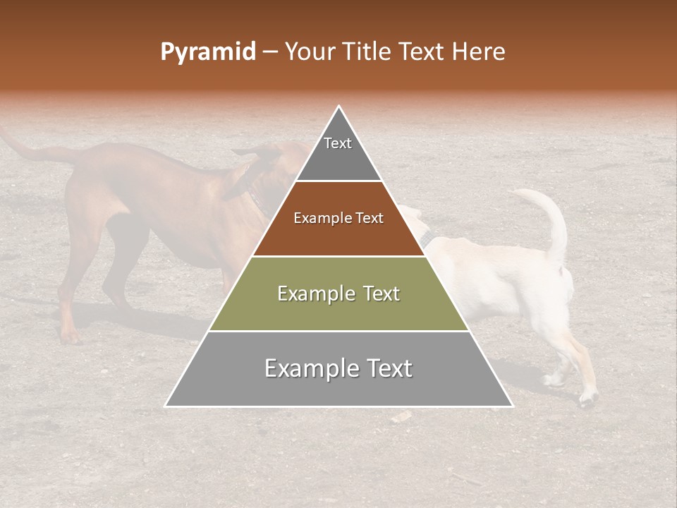 Puppy And Dog Playing PowerPoint Template