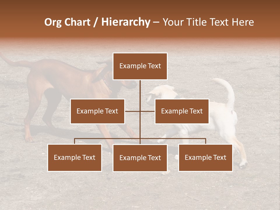 Puppy And Dog Playing PowerPoint Template