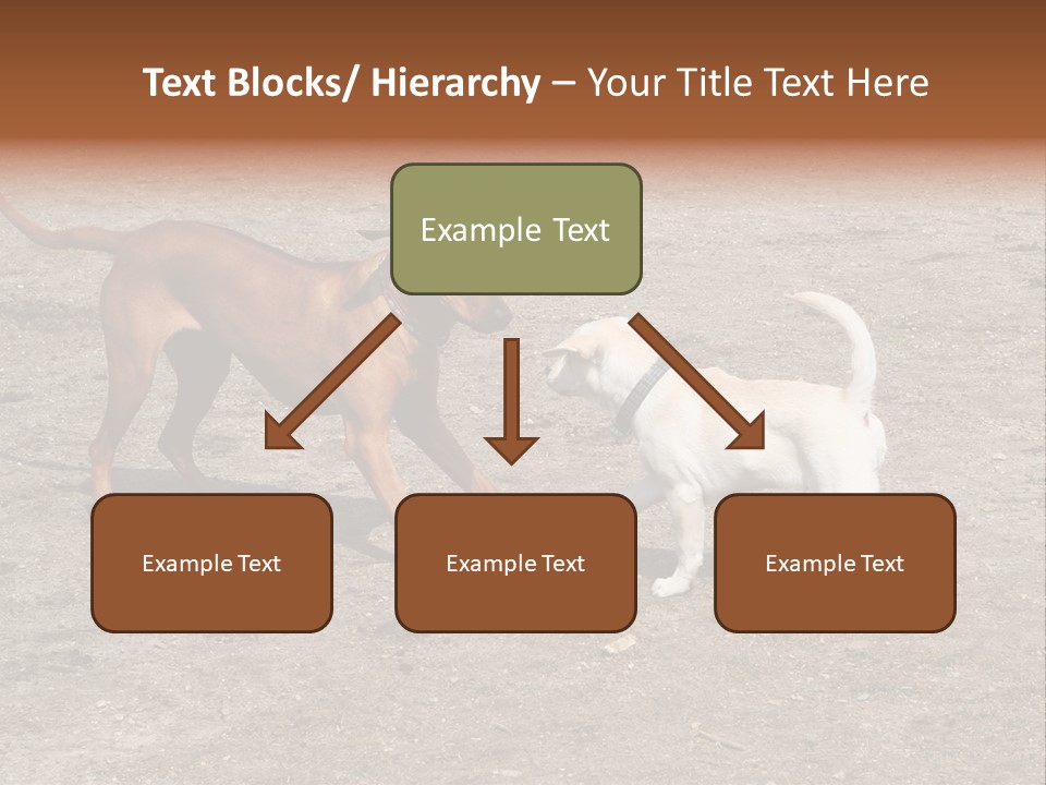 Puppy And Dog Playing PowerPoint Template