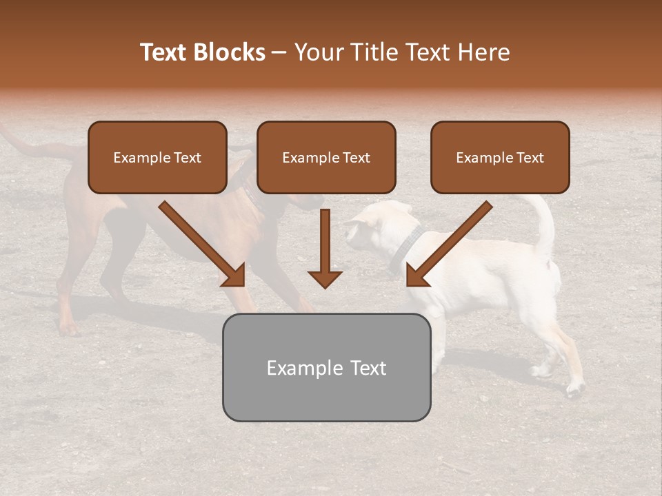 Puppy And Dog Playing PowerPoint Template