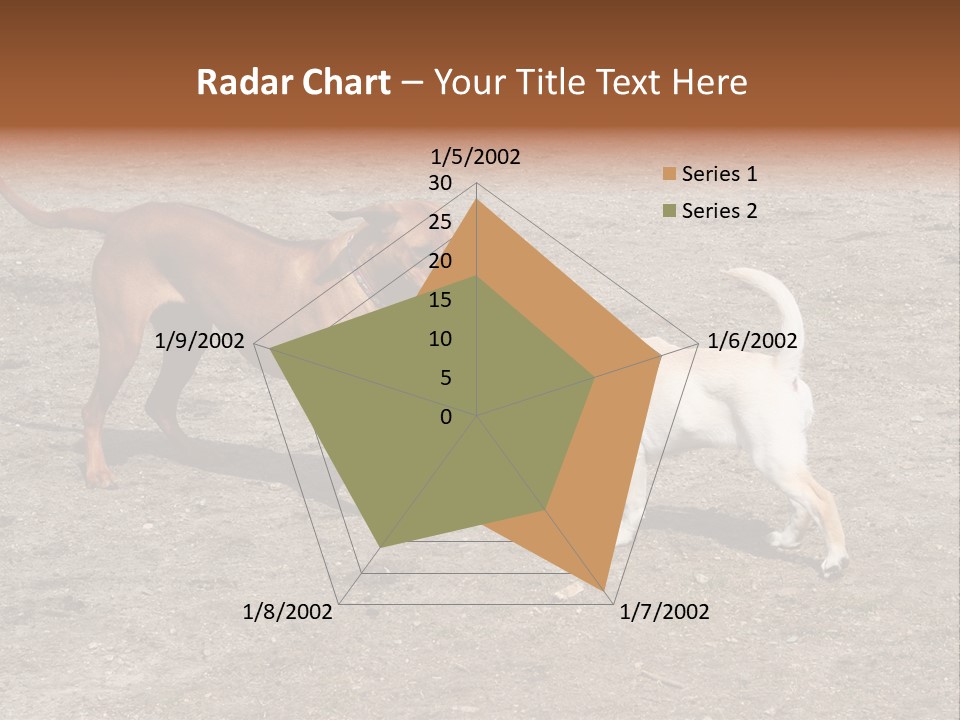 Puppy And Dog Playing PowerPoint Template