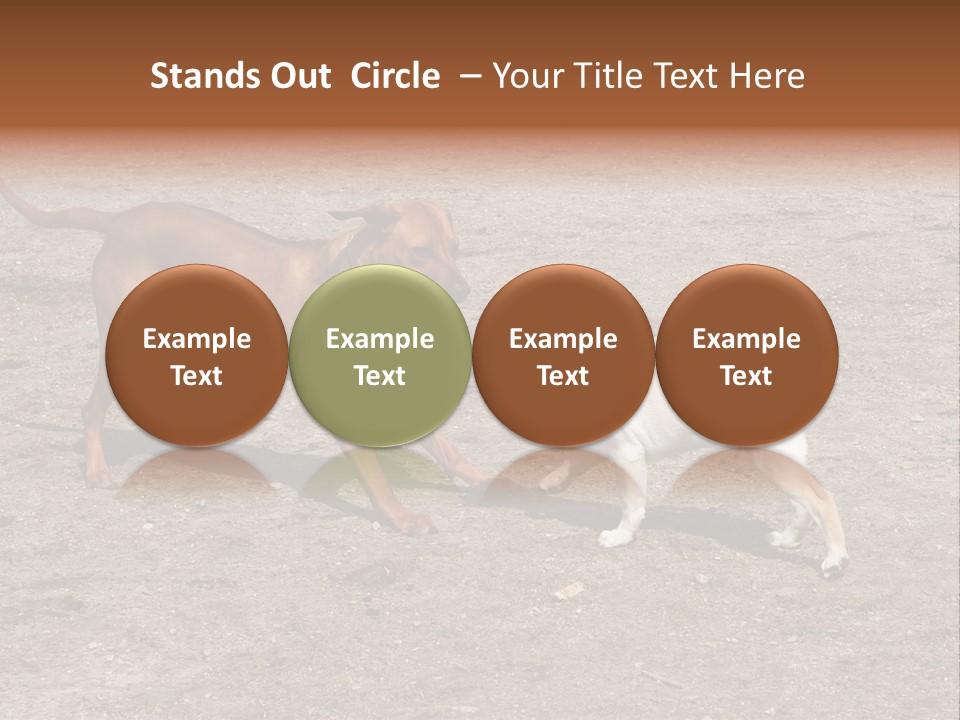 Puppy And Dog Playing PowerPoint Template