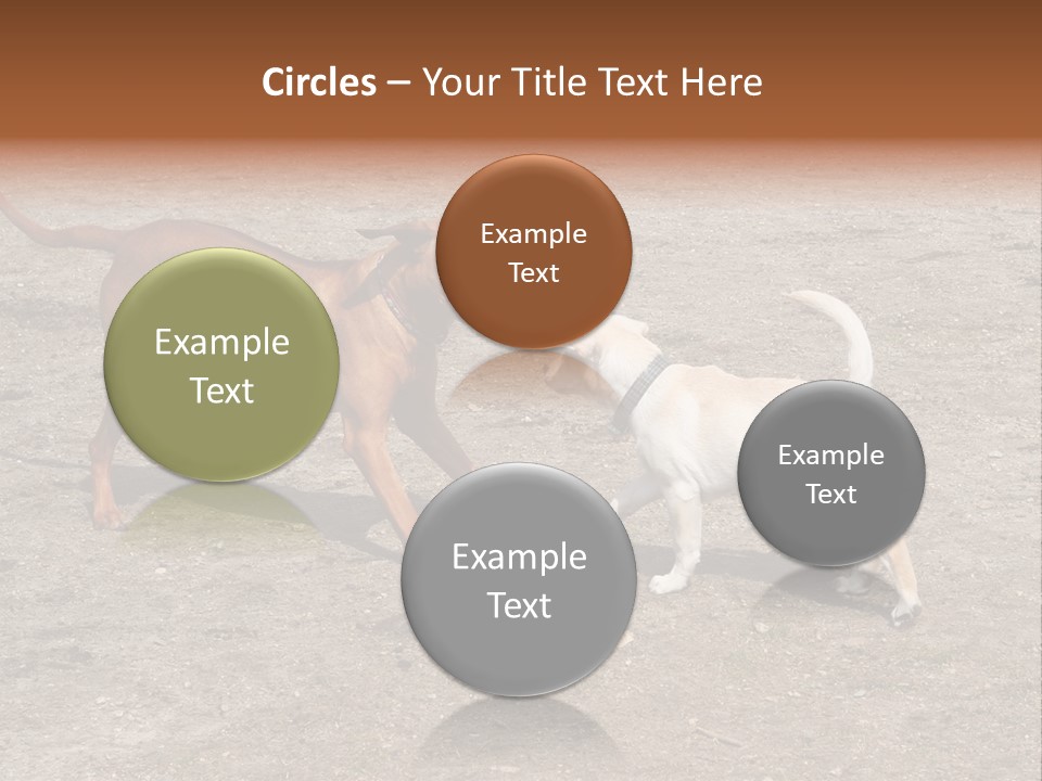 Puppy And Dog Playing PowerPoint Template