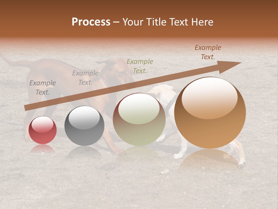 Puppy And Dog Playing PowerPoint Template