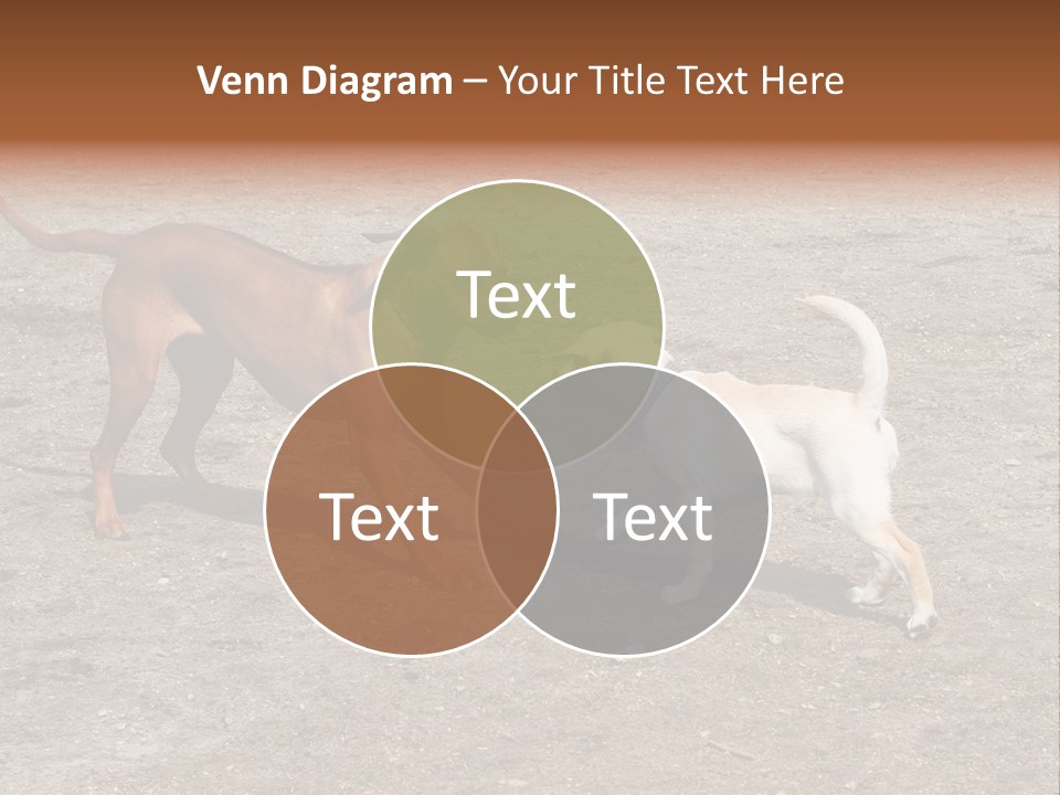 Puppy And Dog Playing PowerPoint Template