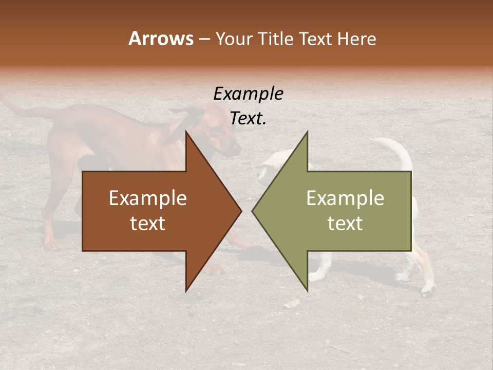 Puppy And Dog Playing PowerPoint Template