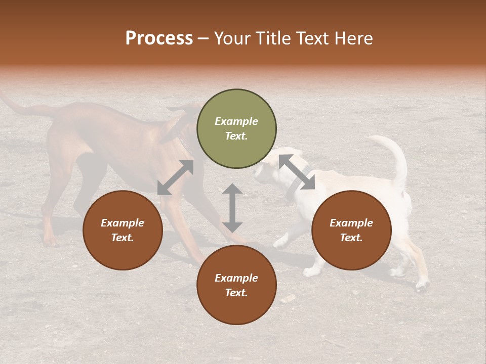 Puppy And Dog Playing PowerPoint Template