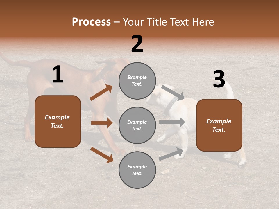 Puppy And Dog Playing PowerPoint Template