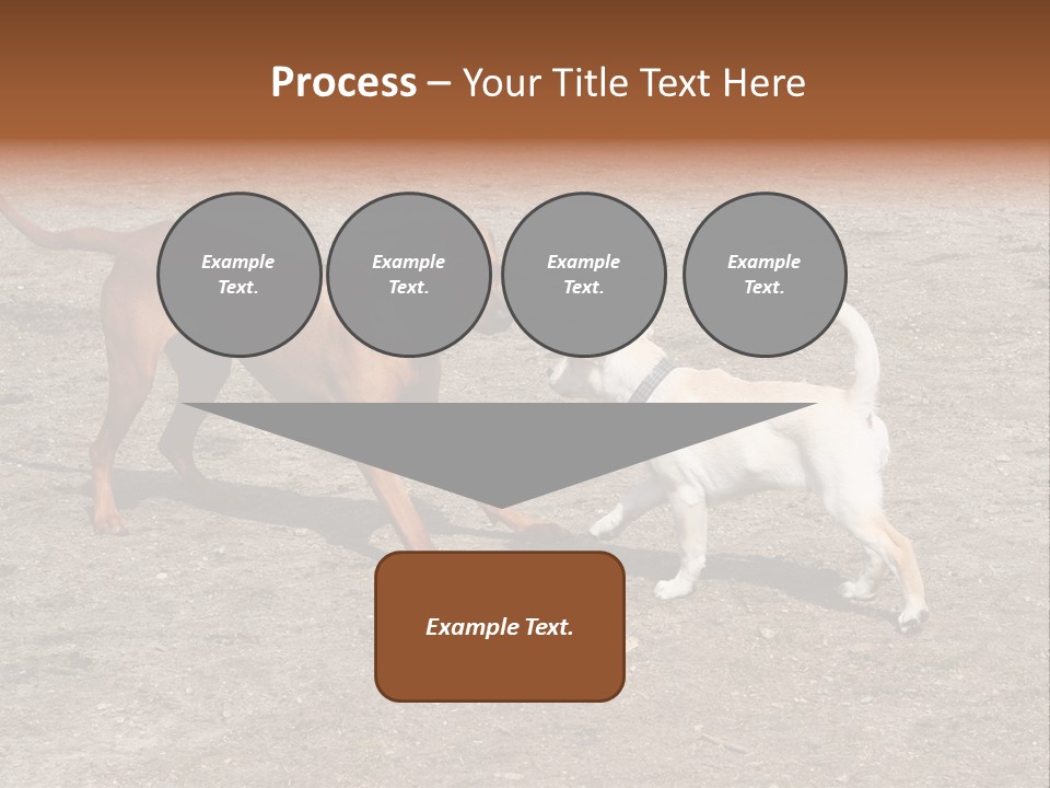 Puppy And Dog Playing PowerPoint Template