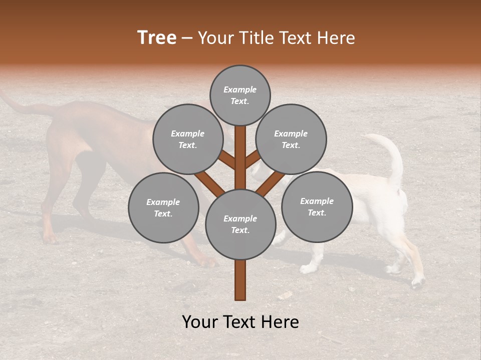 Puppy And Dog Playing PowerPoint Template