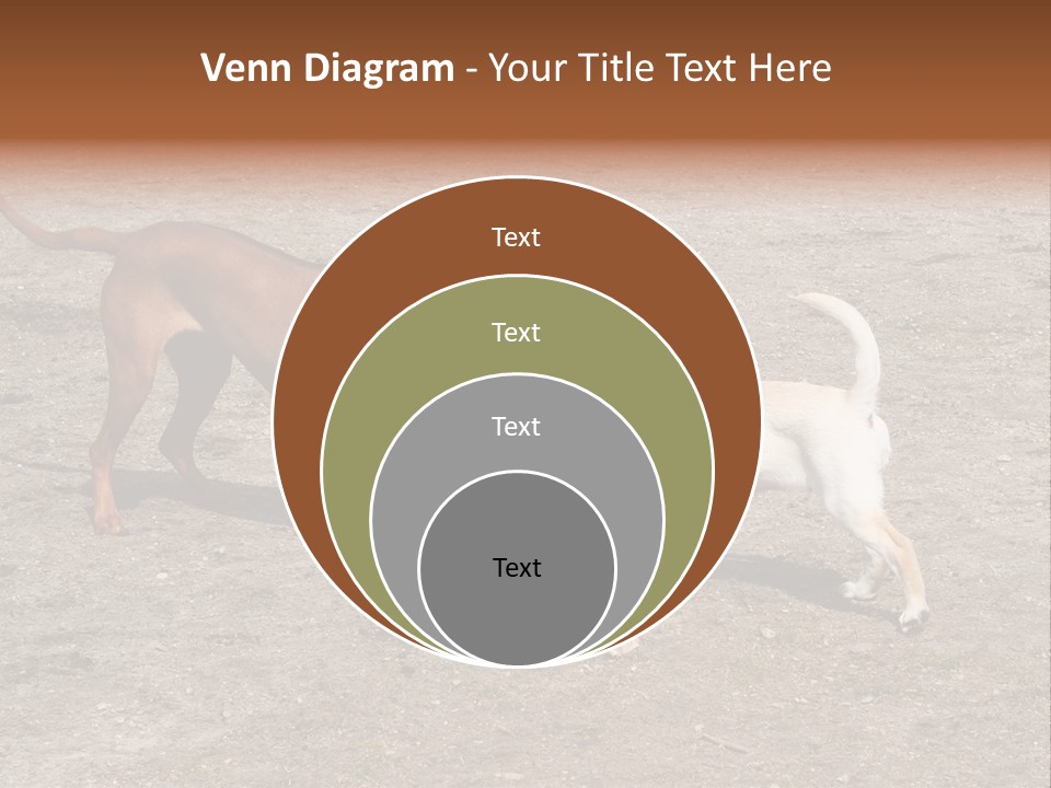 Puppy And Dog Playing PowerPoint Template