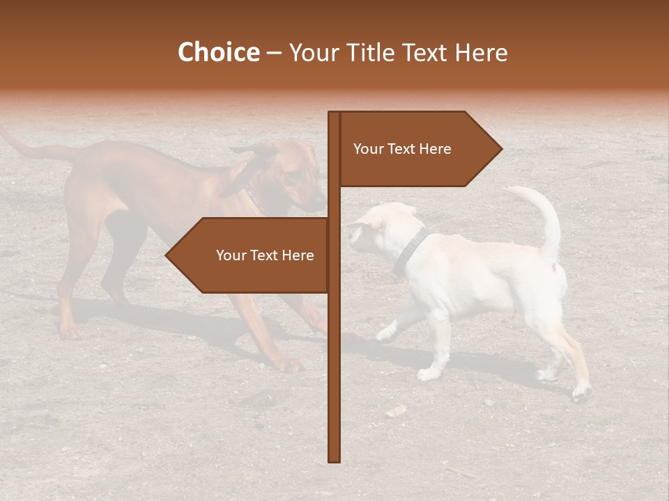 Puppy And Dog Playing PowerPoint Template