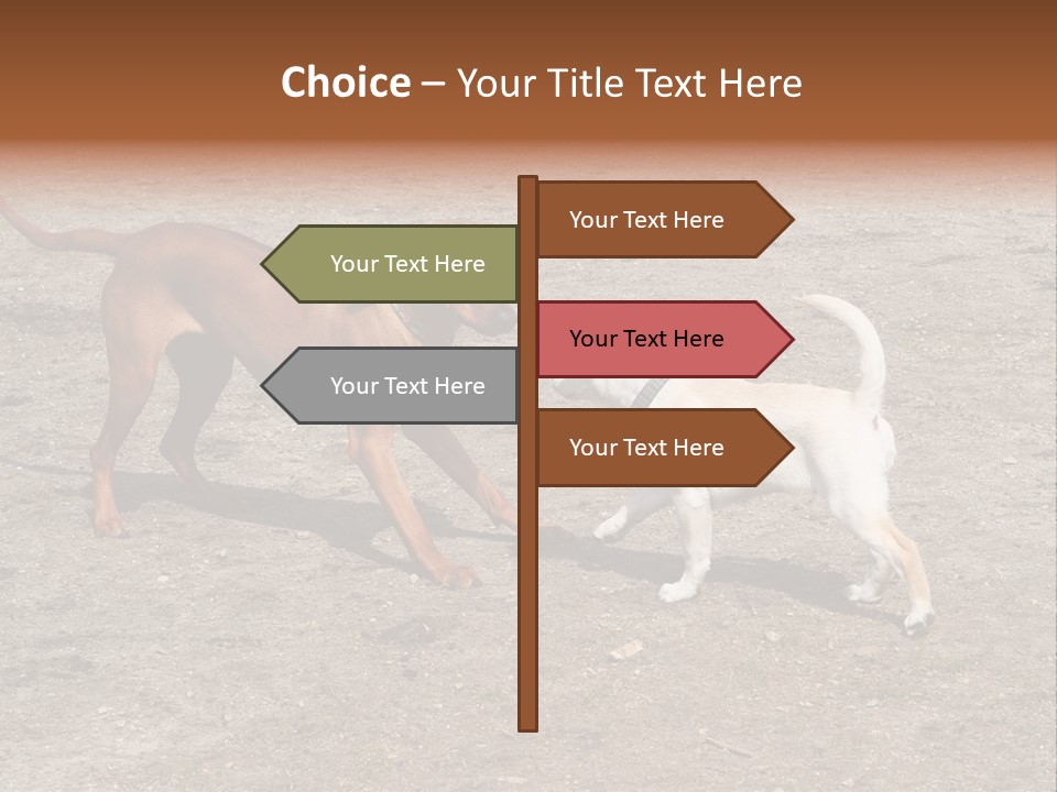 Puppy And Dog Playing PowerPoint Template