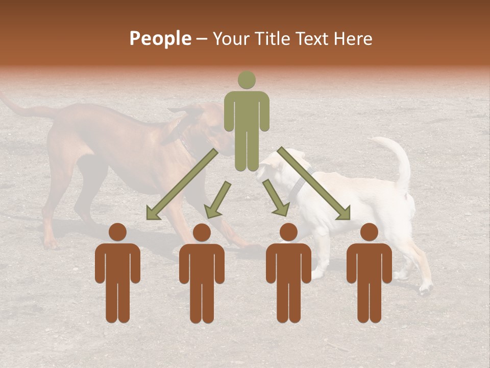 Puppy And Dog Playing PowerPoint Template