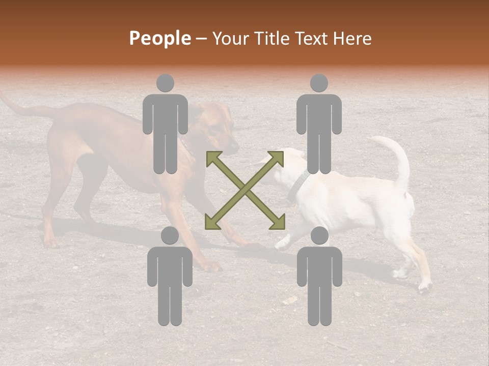 Puppy And Dog Playing PowerPoint Template